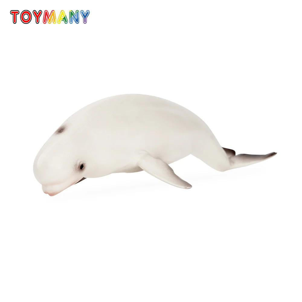 Toymany محاكاة بيلوغا الحوت ال - مراجعة Marine Aquarium Decorations وسعره