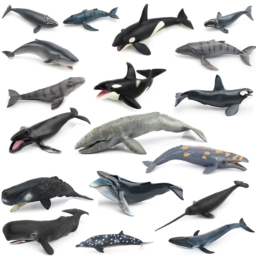 نماذج حيوانات بحرية واقعية: حو - مراجعة Marine Aquarium Decorations وسعره