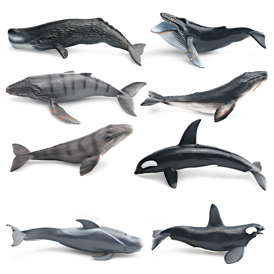 نماذج حيوانات بحرية واقعية: حو - مراجعة Marine Aquarium Decorations وسعره