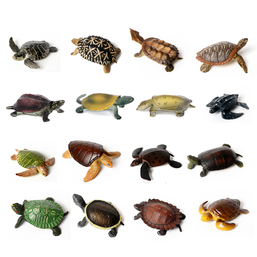 نموذج سلحفاة بحرية للحياة البح - مراجعة Marine Aquarium Decorations وسعره